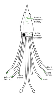 squid diagram